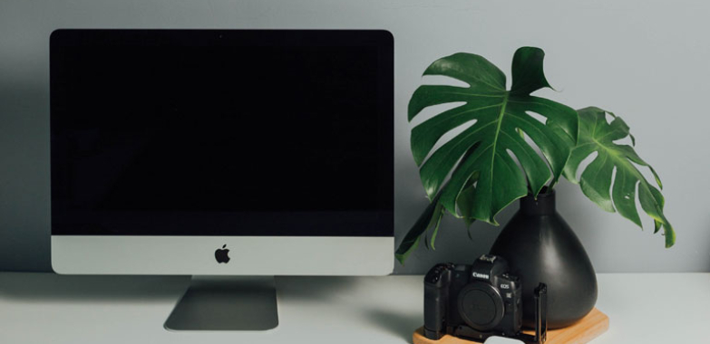 Fotografie de viață sălbatică cu John Shaw